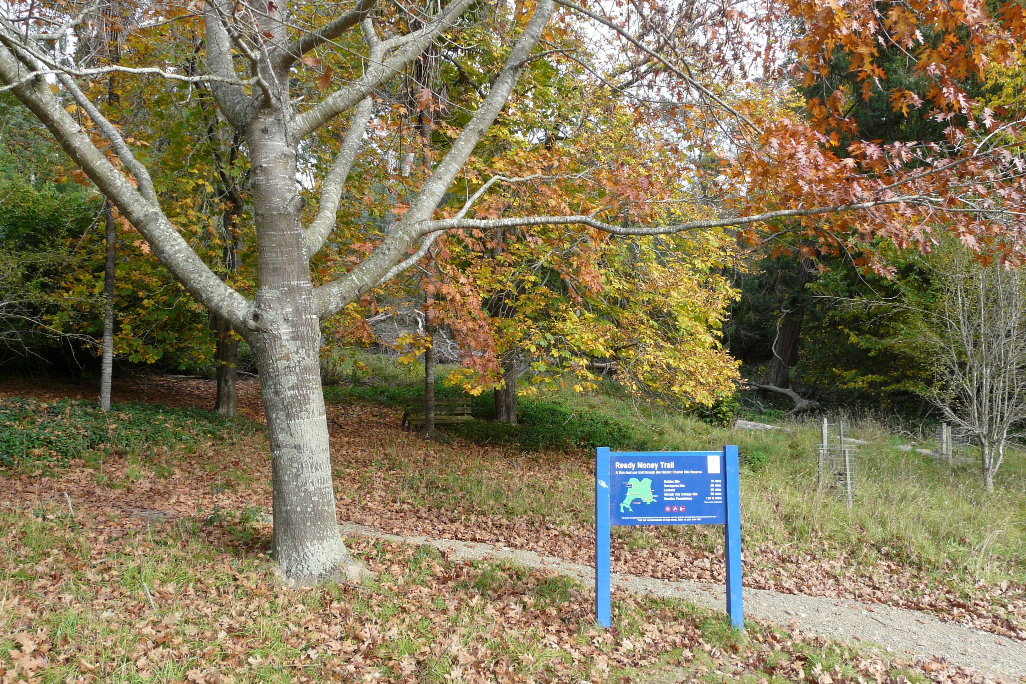 Cheviot Hills Reserve. 