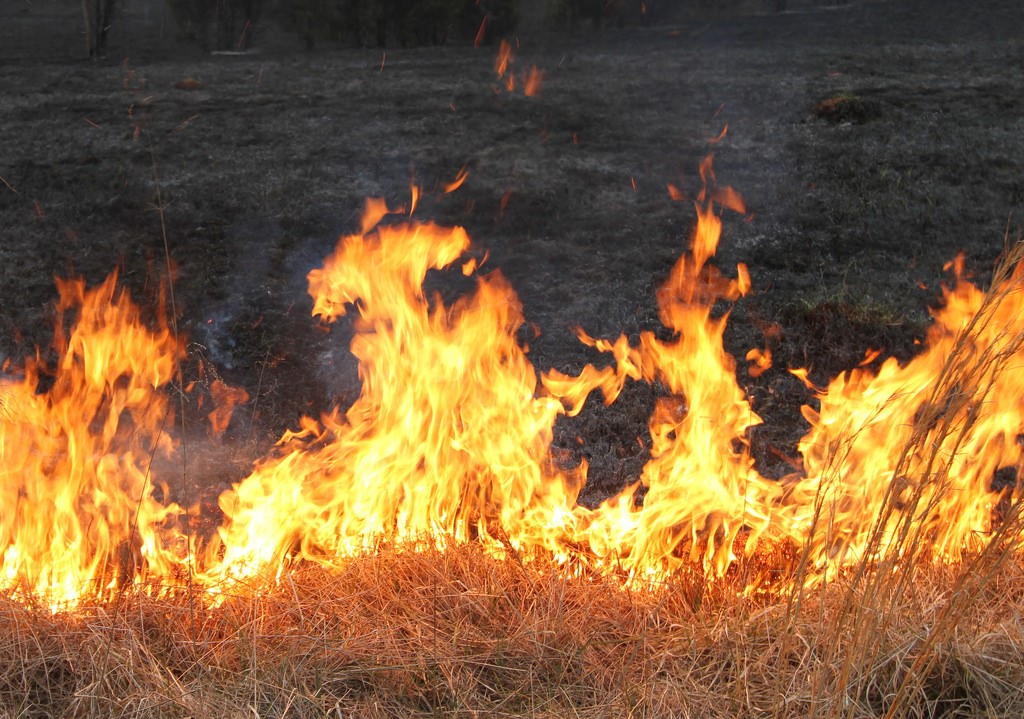 Picture of a burn-off. 